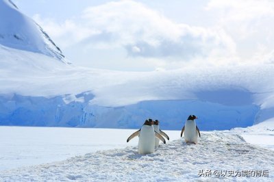 ​南极洲有哪些国家科考站（南极共有多少科考站，都是哪些国家建立的，俄国最多