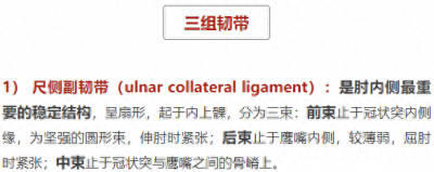 ​37张前臂局部解剖高清图解，收藏慢慢看!