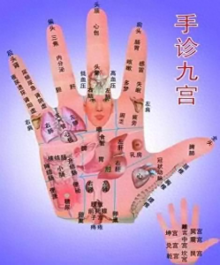 ​九宫手诊脏腑图，附手诊歌诀！几乎失传的手诊，非常有用