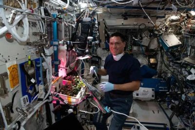 ​破案了！NASA 找到“失踪番茄”