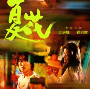 ​徐若晗的个人资料(20岁就被成龙看中，因与言承旭合作大火被大家熟知)