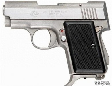 ​世界上漂亮的七款袖珍手枪