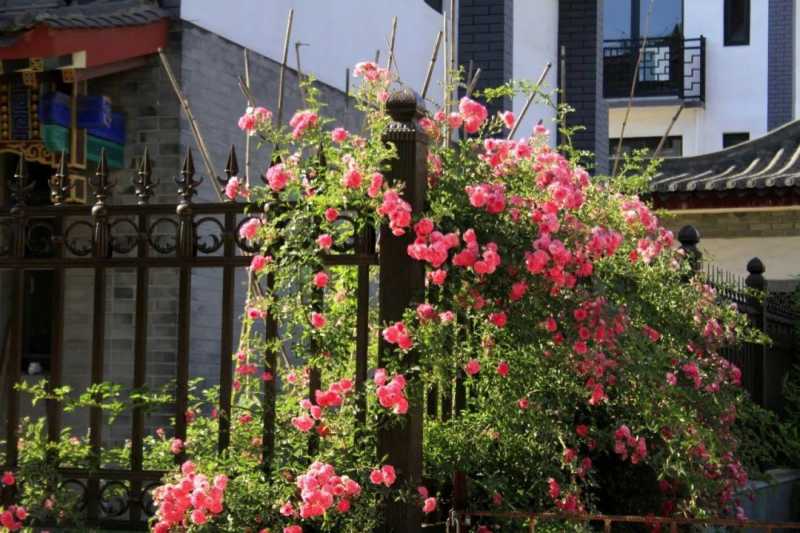 滦州古城(来滦州古城享受静谧时光)