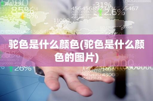 驼色是什么颜色(驼色是什么颜色的图片)