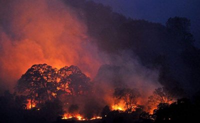 ​美国加州具备这三个引发山火的因素