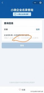 ​合肥小微企业名录如何查询