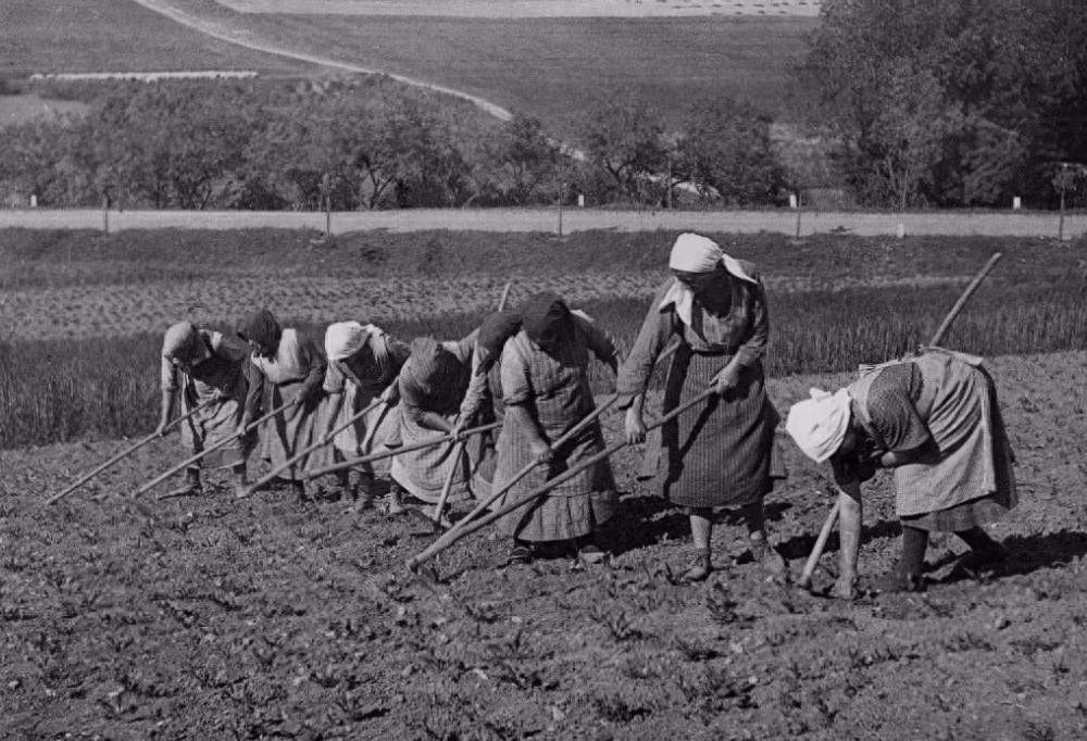 第一次世界经济危机起源于哪个国家发生在哪一年-