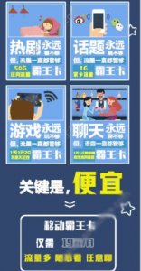 ​霸王卡多少钱一张 19块钱一个月