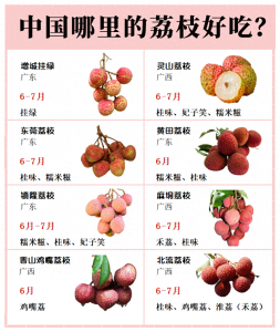 ​15种常见的荔枝品种，桂味排第一