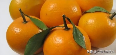 ​潮州特产有哪些土特产（潮州三宝是哪三宝）