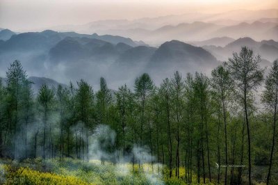 ​国子监怎么读（国子监怎么读拼音怎么写）