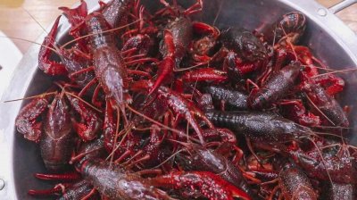​家常小龙虾最简单做法（家常小龙虾最简单做法有菜）