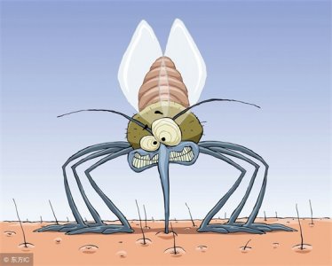 ​蚊子更爱咬什么样的人（这5种人，最招蚊子！你中招了吗？）