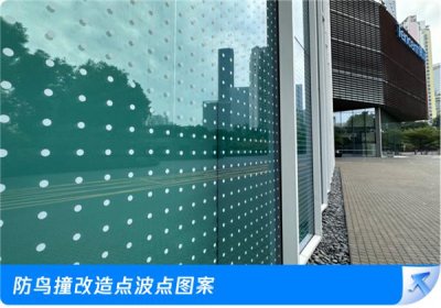 ​腾讯总部大厦贴膜防鸟撞成试题！登上深圳八年级英语试卷