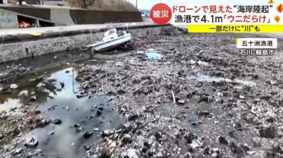 ​日本震区一处渔港海底隆起4米多高 海洋生物大量死亡