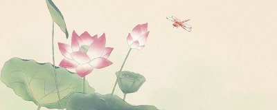 ​蜻蜓的耳朵长在哪里 蜻蜓有耳朵吗 知乎