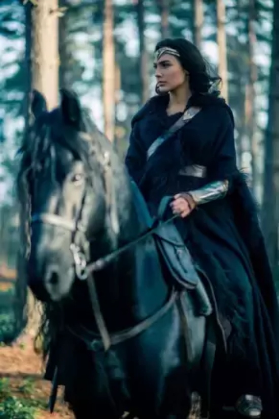 北美高评分电影有哪些（最受期待的十部北美电影推荐）