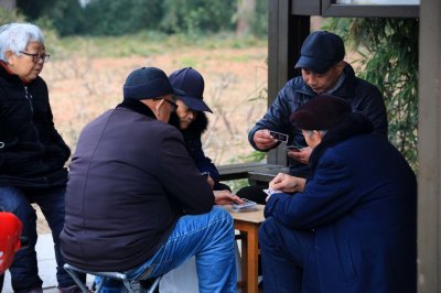 ​上海掼蛋协会选出首任会长，其实身家400亿