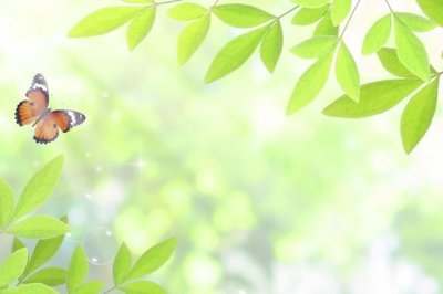 ​might(情态动词：may和might的用法详解)