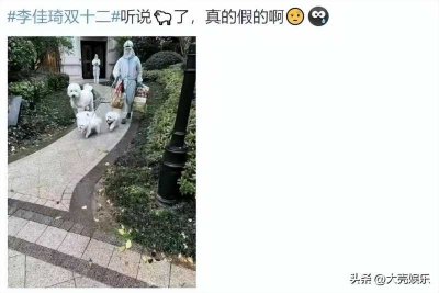 ​李佳琦停播(网传李佳琦因确诊停播，连宠物狗都被拉去隔离，居委会的回应来了)