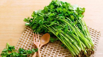 ​芫茜的图片 香茜是什么意思