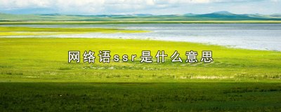 ​网络语ssr是什么意思 网络语ssr是什么意思恋爱