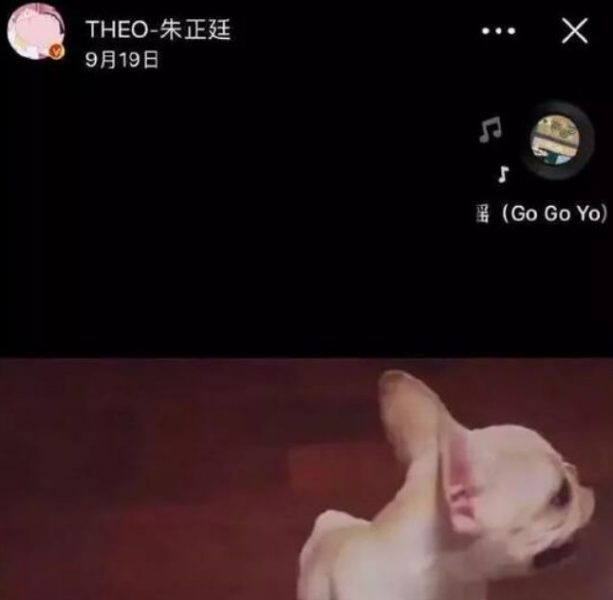 朱正廷的女朋友吻照片 朱正廷晒同款狗狗地板互动回应