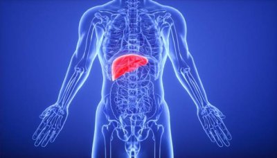 ​人体的结构层次分别是什么意思 人体结构包括哪三个层次