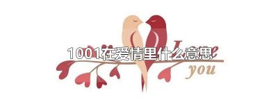 ​1001在爱情里什么意思啊 1001在爱情里什么意思呀