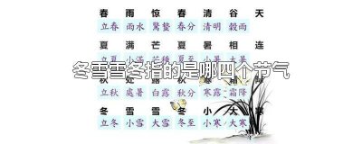 ​二十四节气的冬雪雪冬里面的雪是什么意思 二十四节气冬雪雪冬两个雪指的是