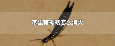 ​家里房间里撒盐是什么意思 屋子里放盐怎么回事