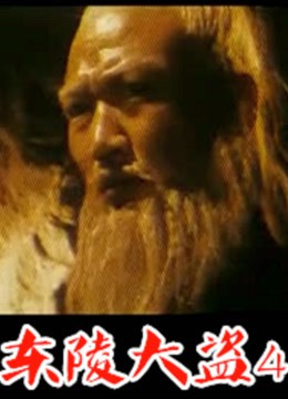 《东陵大盗（四）》电影封面