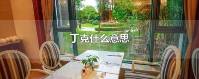 ​结婚丁克什么意思 丁克什么意思简单点