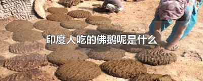 ​印度的佛鹅呢什么意思 印度的佛鹅