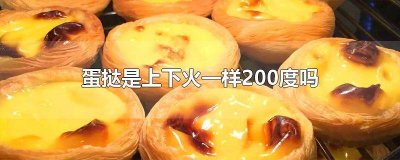 ​蛋挞的做法上下火多少度 蛋挞是用上下火吗