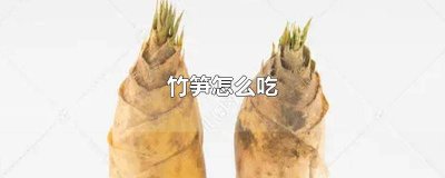 ​竹荪怎么吃与做法大全 新鲜的竹笋怎么吃