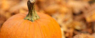 ​南瓜切开后多久不能吃 南瓜切开后多久不能吃东西了