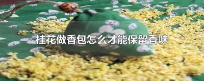 ​桂花香怎么做香包保留香味 桂花做香包怎么保存香味不散