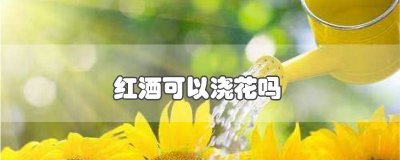 ​红酒可以浇花吗为什么 红酒可以用来浇花吗