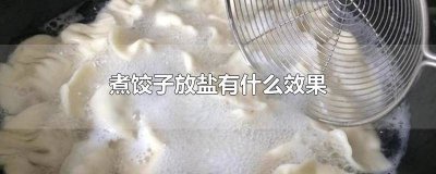 ​煮饺子为啥要加盐水 煮饺子为啥要加盐和醋