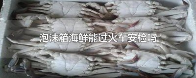 ​泡沫箱海鲜能过火车安检吗怎么办 泡沫箱活海鲜能过火车安检吗