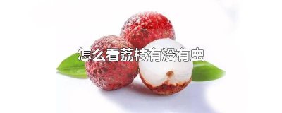 ​如何看荔枝有没有虫 荔枝里有虫正常吗