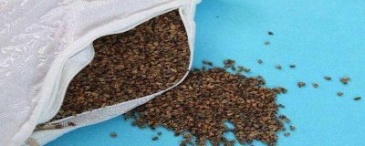 ​如何清洗荞麦皮枕头芯里的螨虫 如何洗荞麦皮枕头才可以除螨