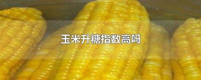 ​玉米面和白面升糖指数哪个高 玉米面升糖高不高