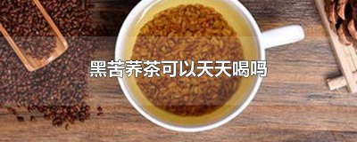 ​长期喝黑苦荞茶 黑苦荞茶能不能天天喝