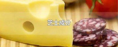 ​芝士的配料 芝士的东西