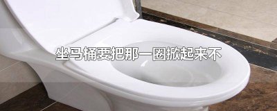 ​马桶圈要掀起来吗 上马桶要把马桶圈抬起来吗