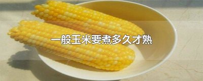 ​一般玉米要煮多久才熟电磁炉加热 一般玉米要煮多久才熟电磁炉能用