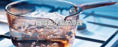 ​白醋去水垢的原理 白醋去水垢的原理是什么