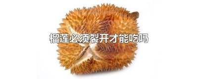 ​榴莲必须裂开才能吃吗视频播放 榴莲必须要裂开才能吃吗